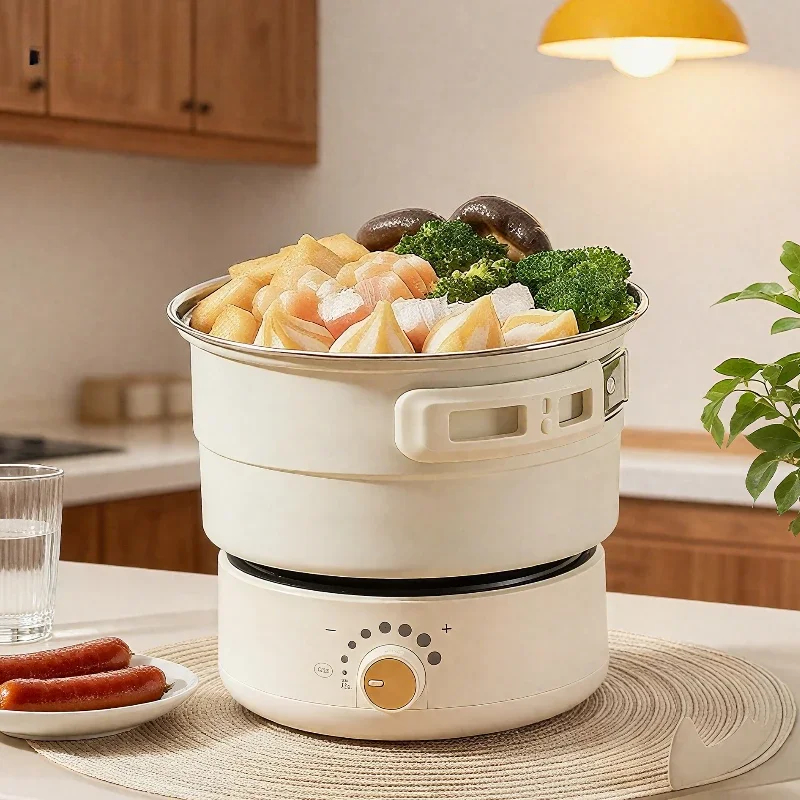 110V/220V Electric Cooker Port - Fondue Set Electric 리뷰 및 가격