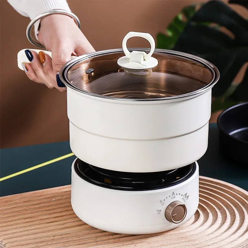 110V/220V Electric Cooker Port - Fondue Set Electric 리뷰 및 가격