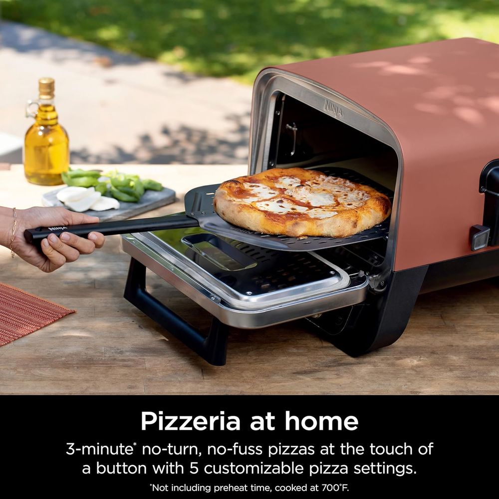 Portable 8-in-1 Electric Roast - Electric Smoker Bbq 리뷰 및 가격
