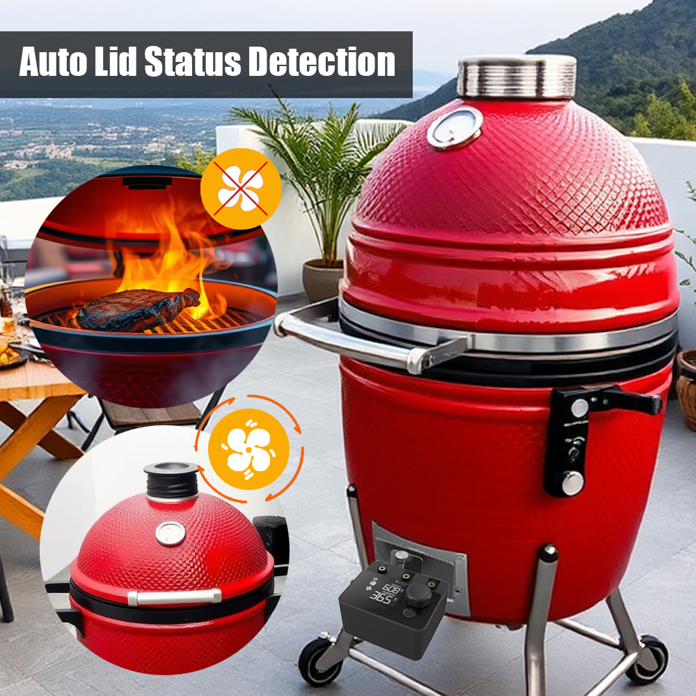 Wireless Bluetooth Meat Thermo - Electric Smoker Bbq 리뷰 및 가격