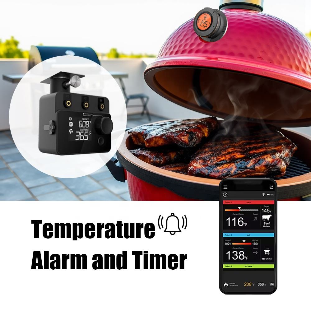 Wireless Bluetooth Meat Thermo - Electric Smoker Bbq 리뷰 및 가격