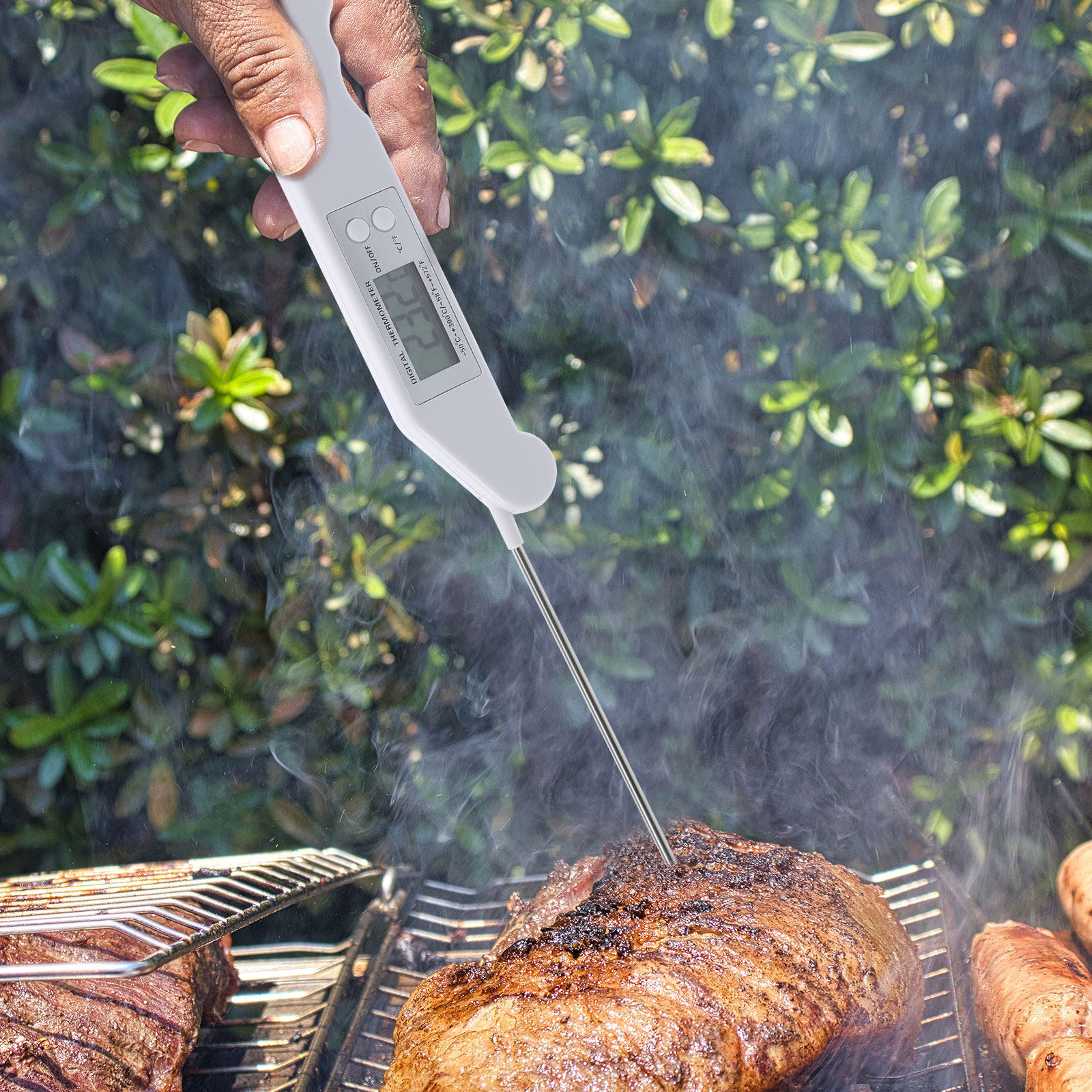 Folding Electronic Thermometer - Kitchen Appliances For Cooking 리뷰 및 가격