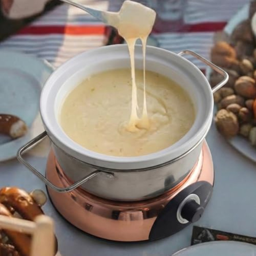 Artestia Electric Fondue Pot S - Fondue Set Electric 리뷰 및 가격