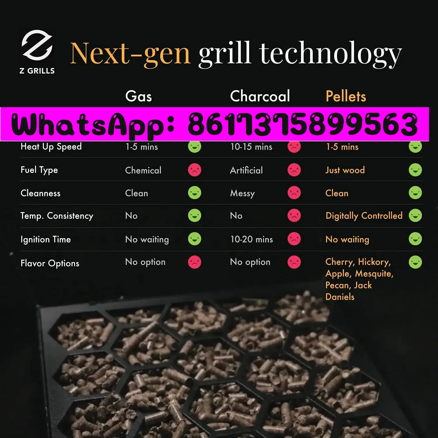 For Z GRILLS ZPG-450A 2024 Upg - Electric Smoker Bbq 리뷰 및 가격